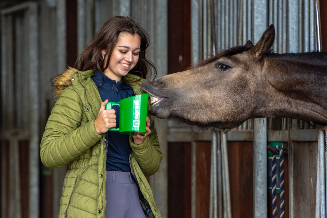 Hoefbevangenheid bij paarden
