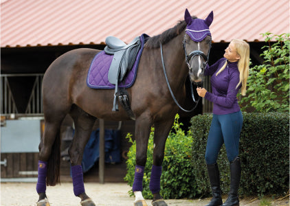 Aanschaf van een paard