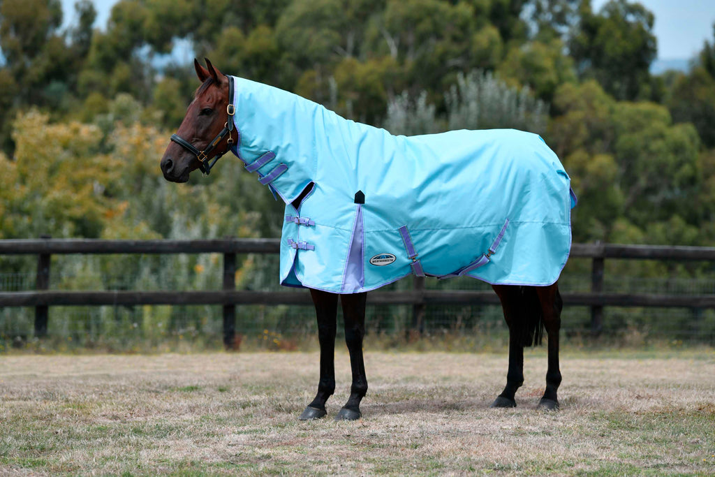 Weatherbeeta Winterdeken Comfitec Classic Combo Neck Medium/Lite lichtblauw/paars