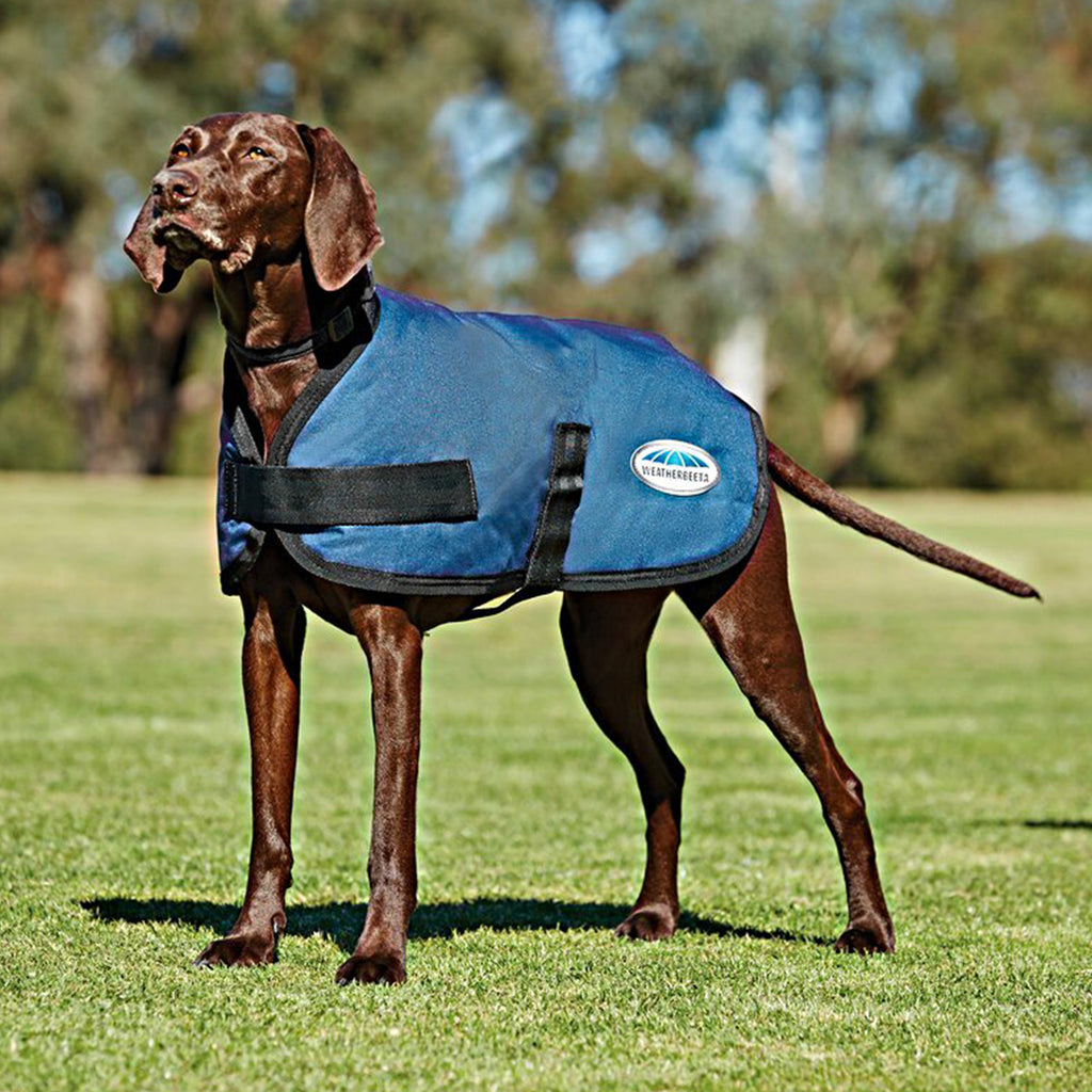 WeatherBeeta Parka Dog Coat ComFiTec Classic Dark Blue