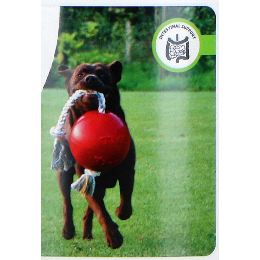 Agradi Psyllium Plus Hond