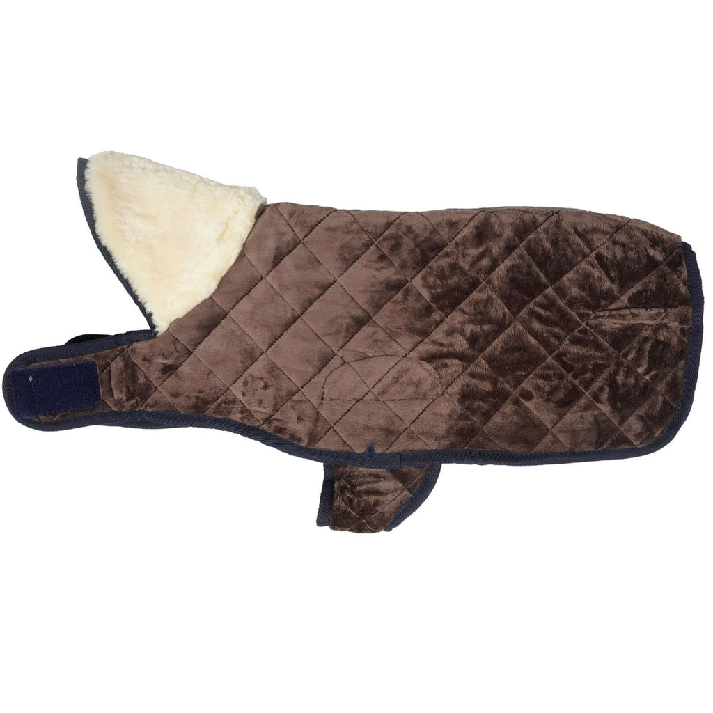 Kentucky Dog Coat Original Navy