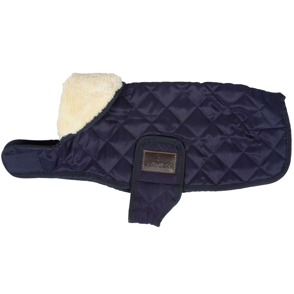 Kentucky Dog Coat Original Navy