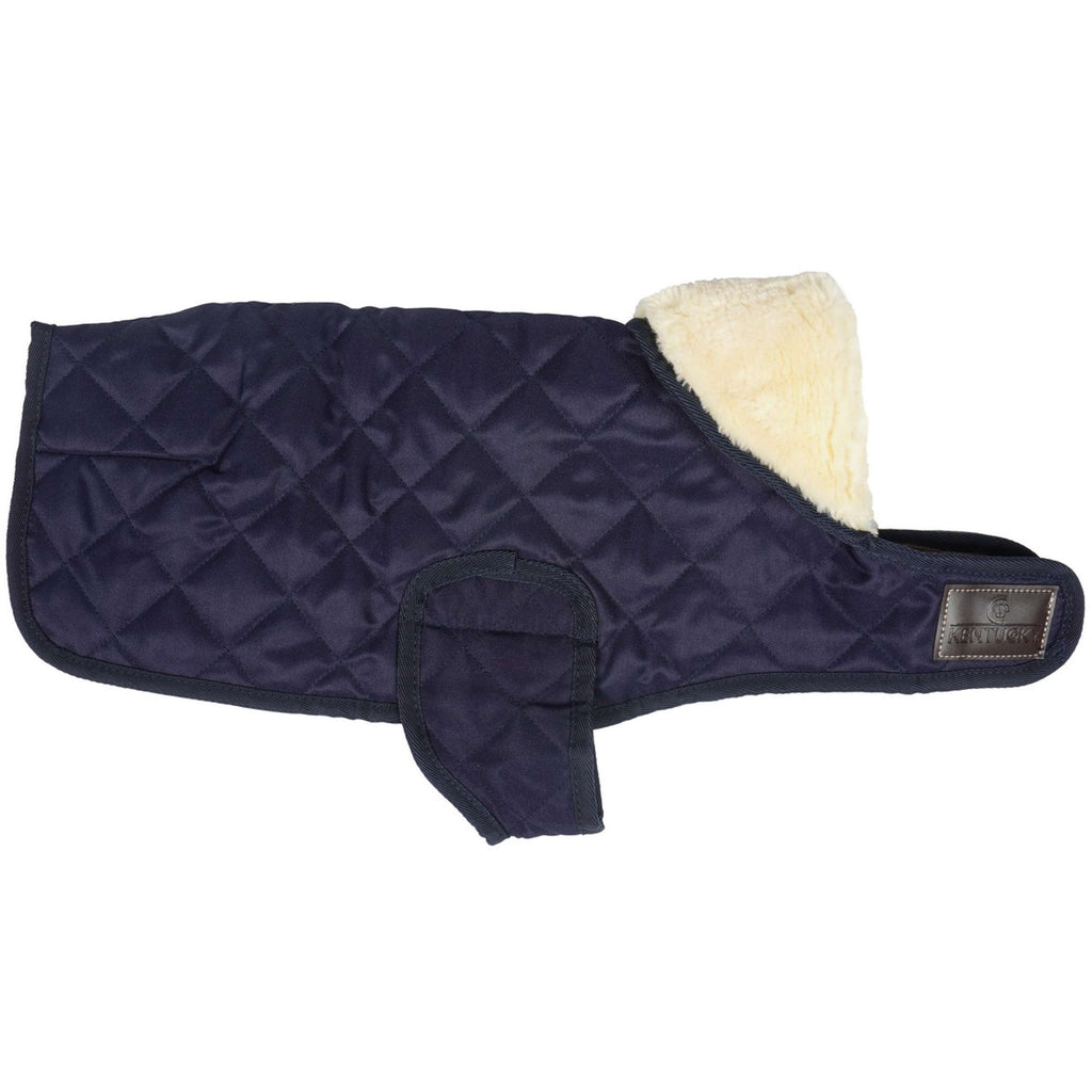 Kentucky Dog Coat Original Navy