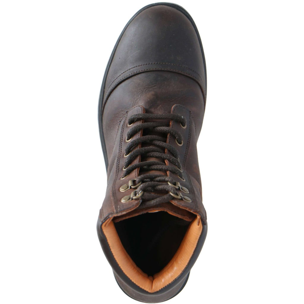 Mountain Horse Wild River Lace Paddock Bruin