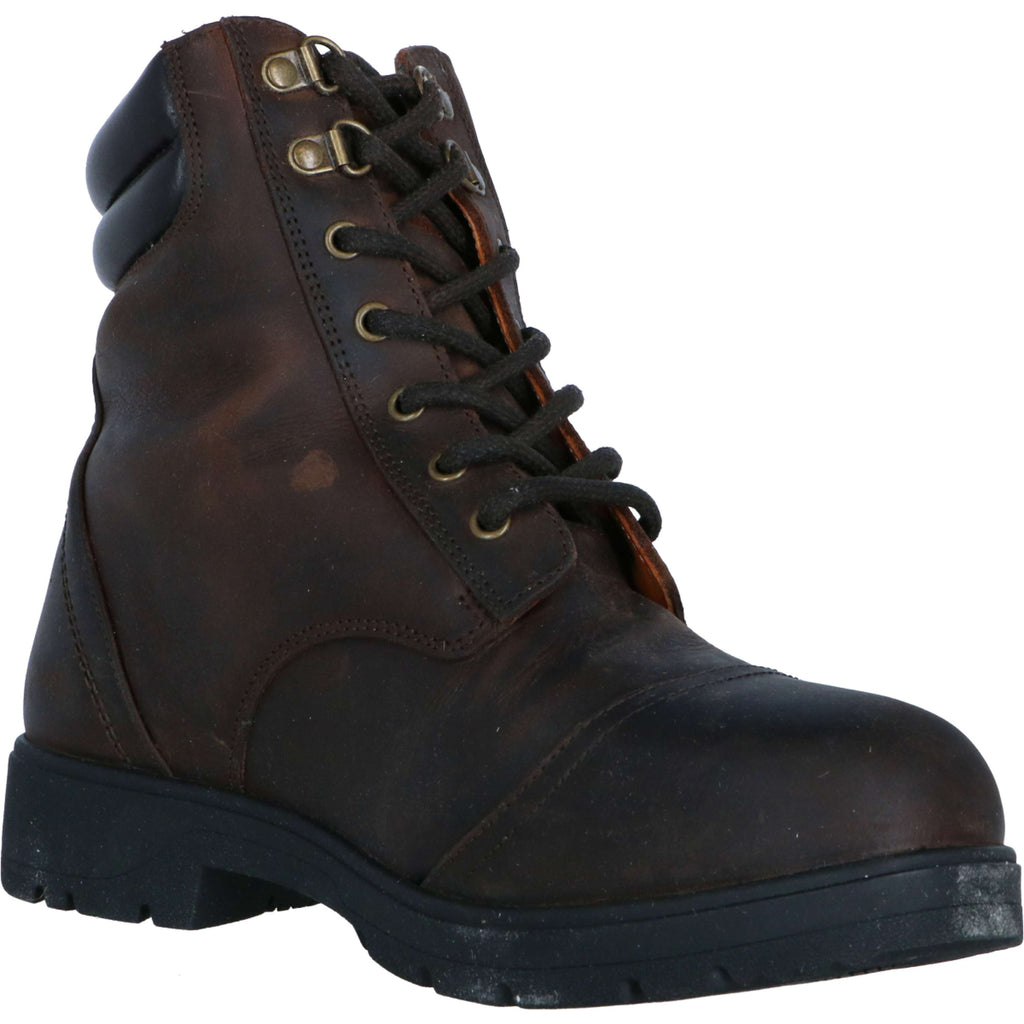 Mountain Horse Wild River Lace Paddock Bruin