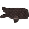 Kentucky Dog Coat Original Bruin