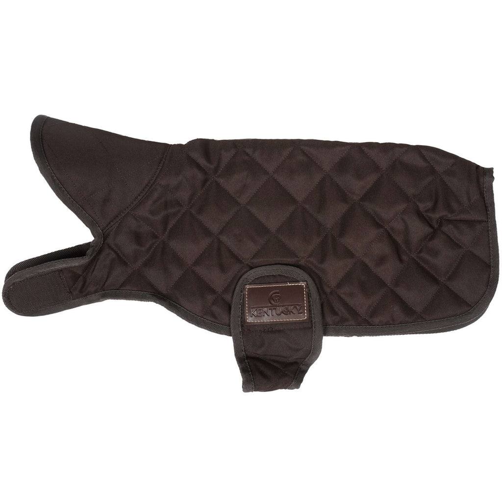 Kentucky Dog Coat Original Bruin