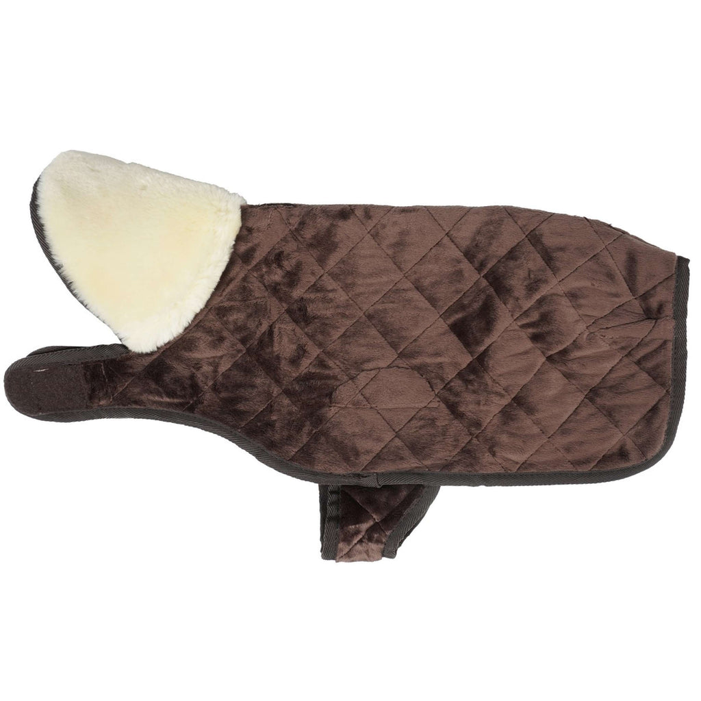 Kentucky Dog Coat Original Bruin