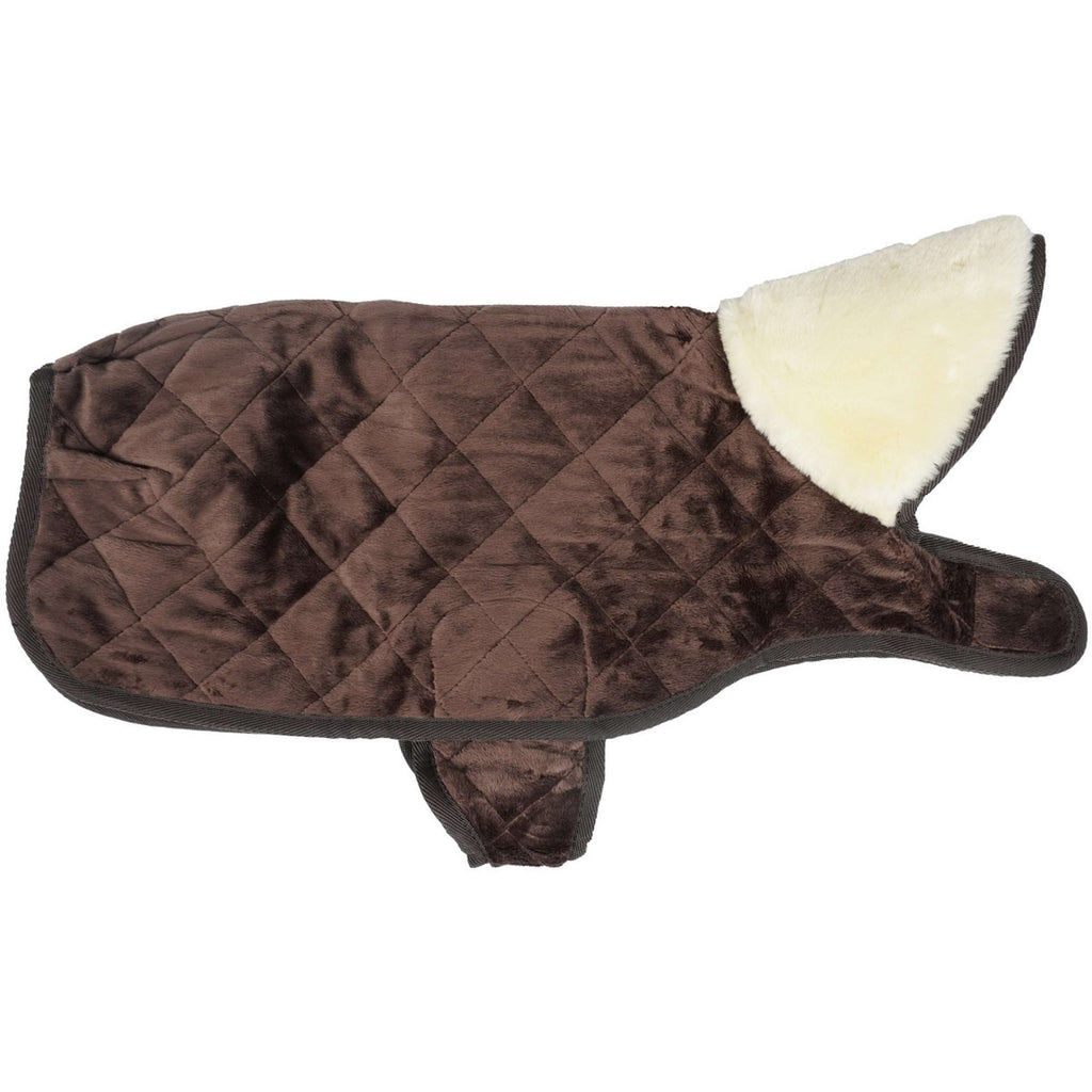 Kentucky Dog Coat Original Bruin