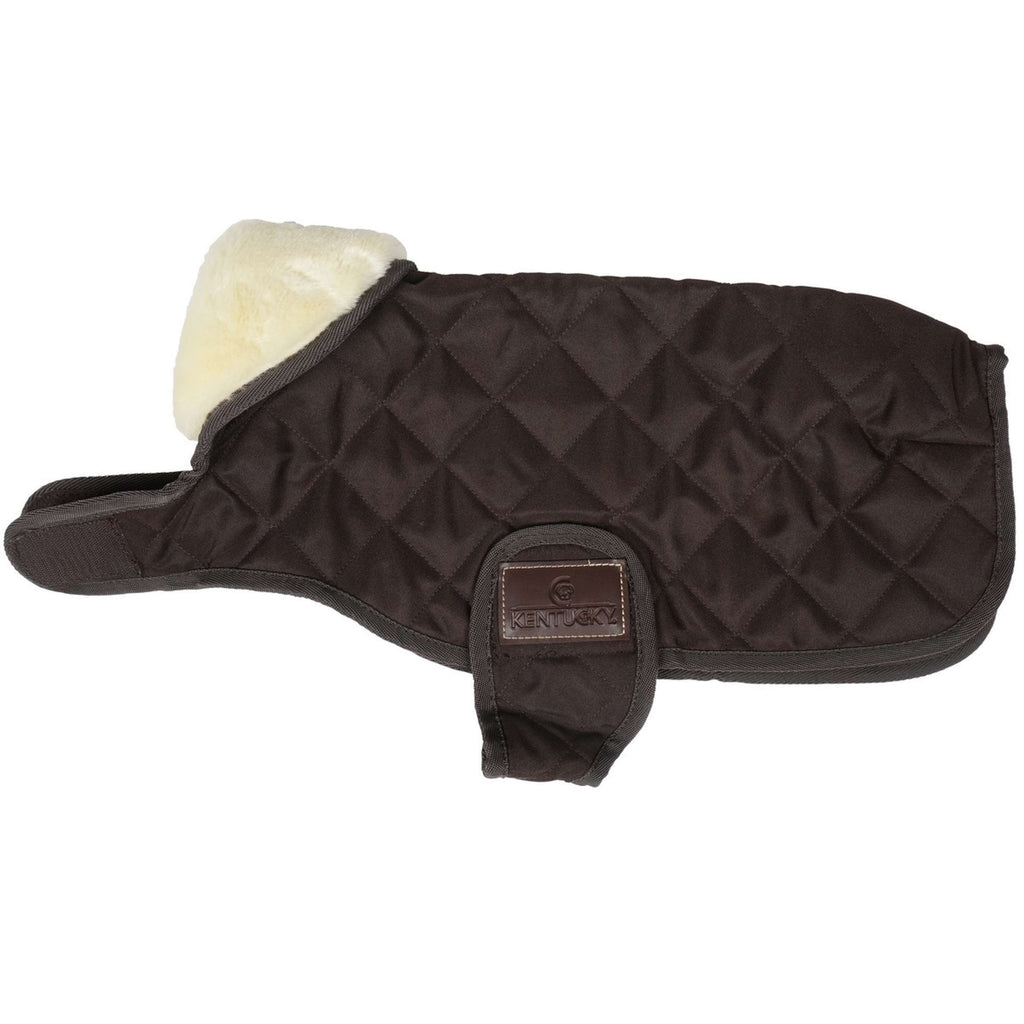 Kentucky Dog Coat Original Bruin