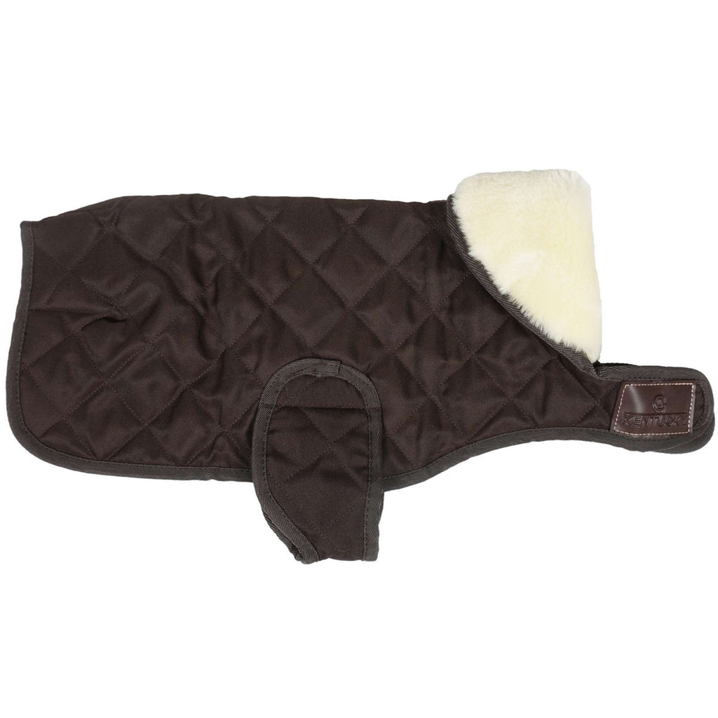 Kentucky Dog Coat Original Bruin