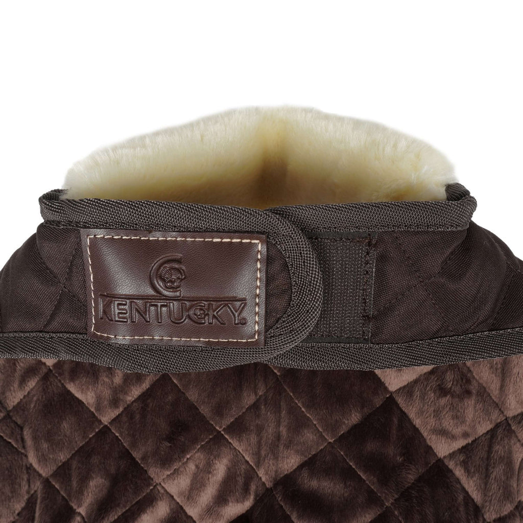 Kentucky Dog Coat Original Bruin