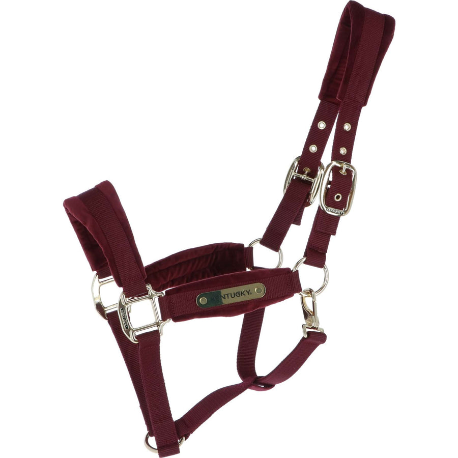 Kentucky Halster Velvet Bordeaux