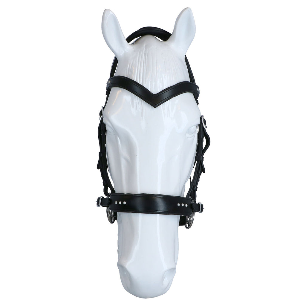 F.R.A Hoofdstel Glory Hackamore Leder met Kralen Zwart