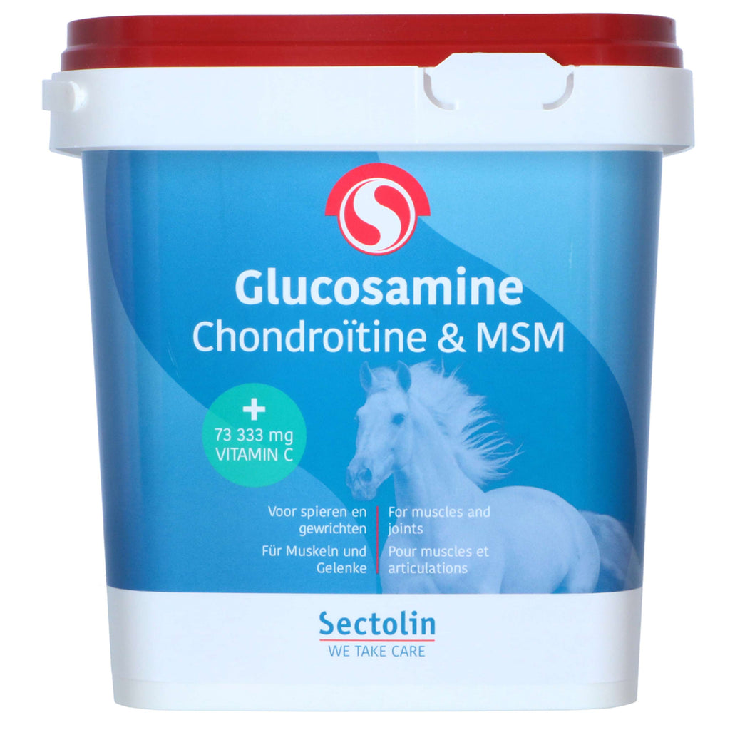 Sectolin Glucosamine, Chondroïtine en MSM