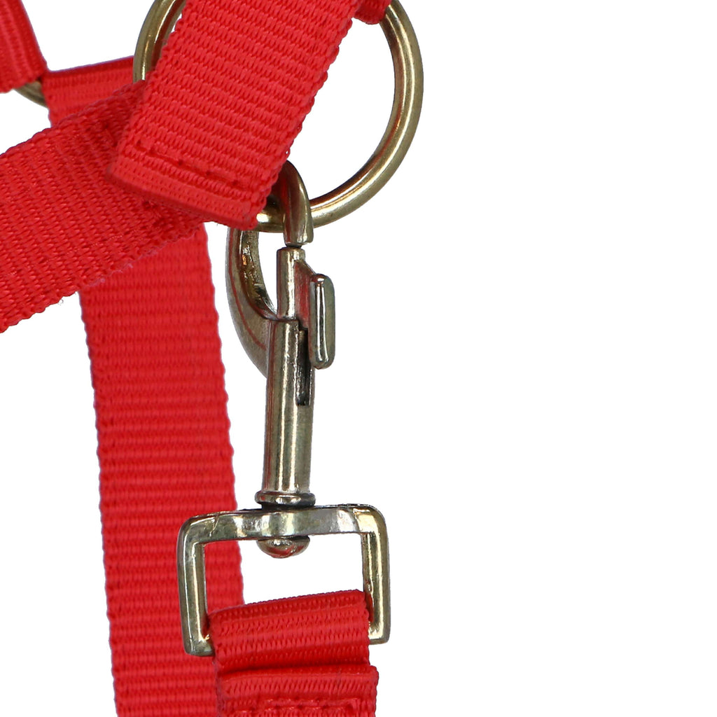 Premiere Halster Pp Verstelbaar Neus met Knip Rood