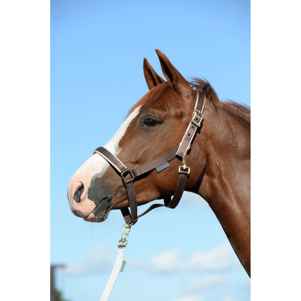 Bucas Halster Dublin Chocolate/Silver