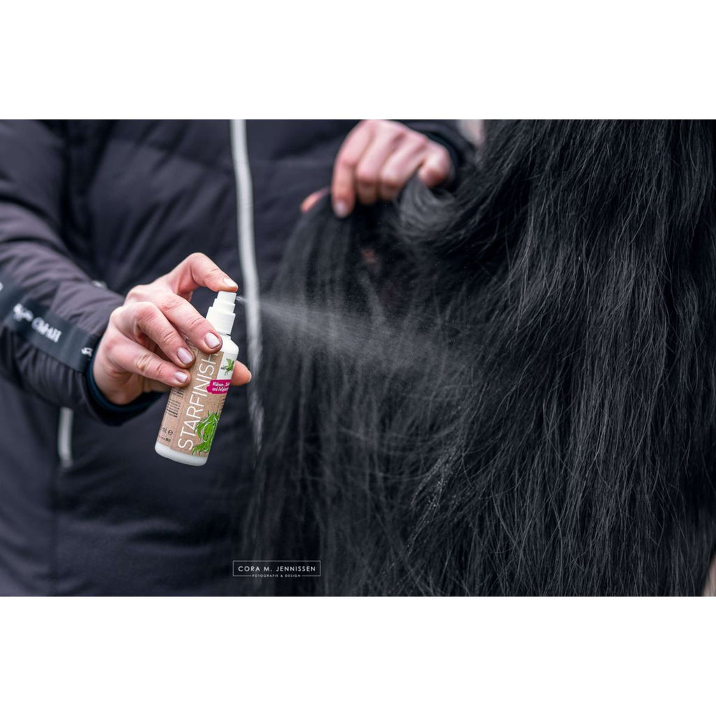 Bense & Eicke Glansspray StarFinish