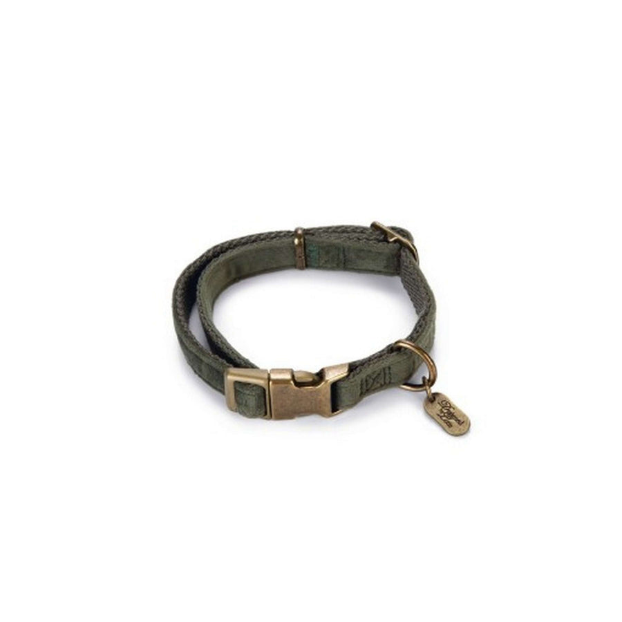 Designed by Lotte Hondenhalsband Velura Fluweel Groen