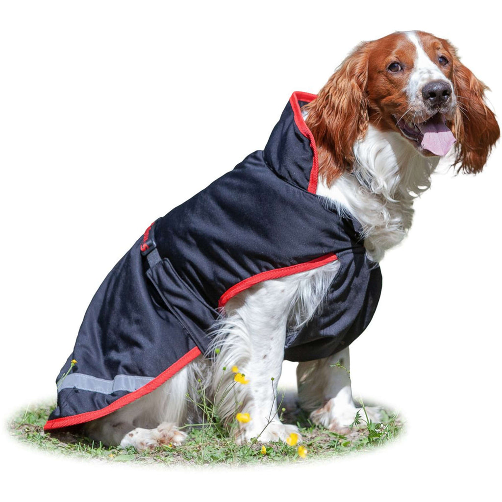 Bucas Sports Line Dog Cooler Black/Red