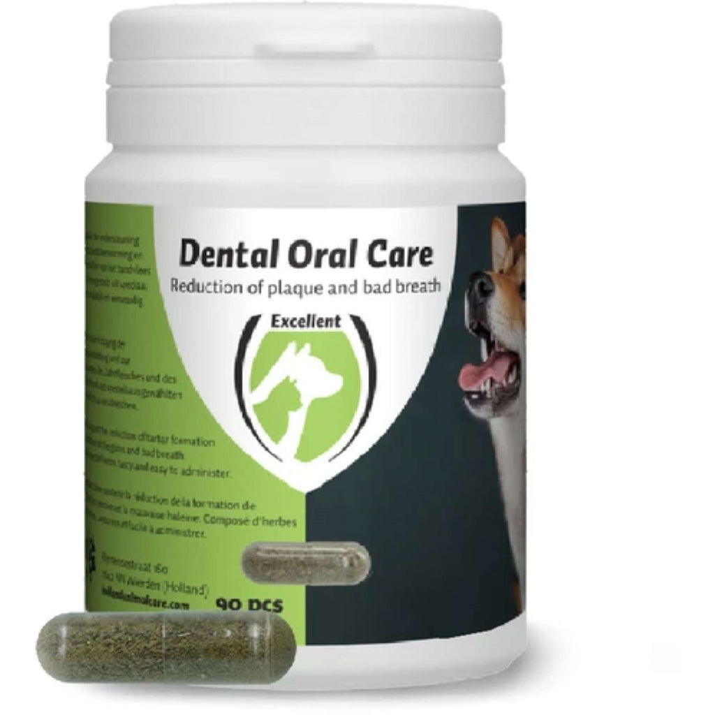 Excellent Dental Oral Care Hond & Kat