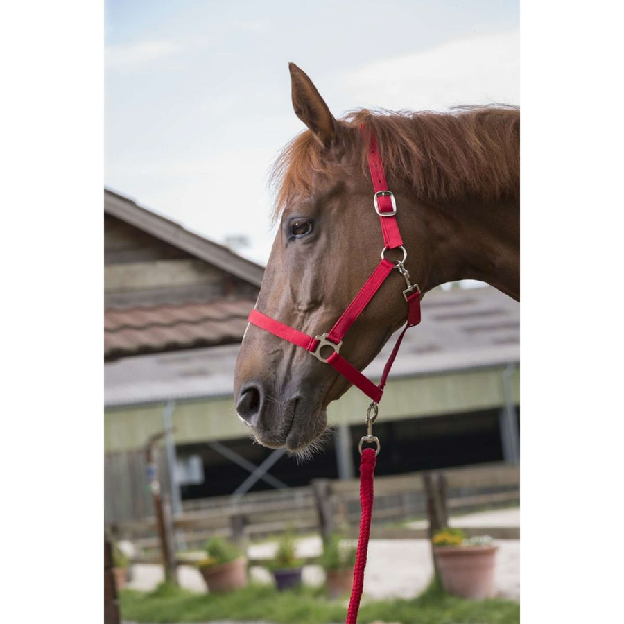 Riding World Halsterset Club met Touw Fuchsia