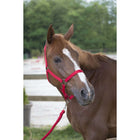 Riding World Halsterset Club met Touw Fuchsia