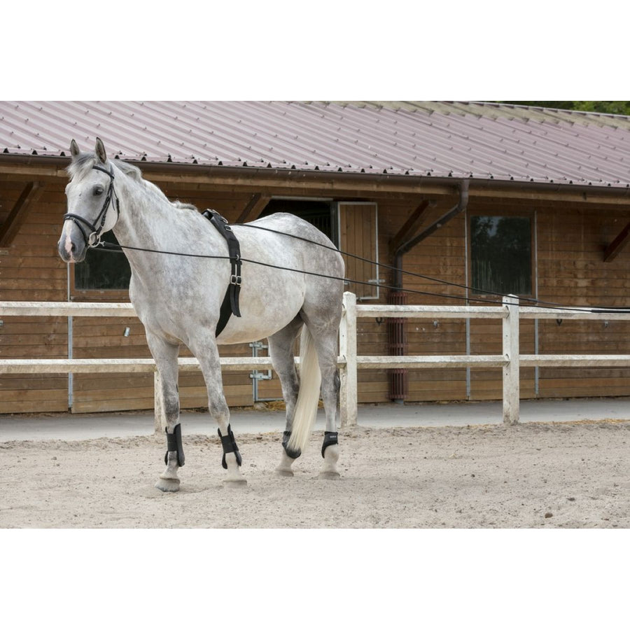 Riding World Teugels Leer/Touw Bruin