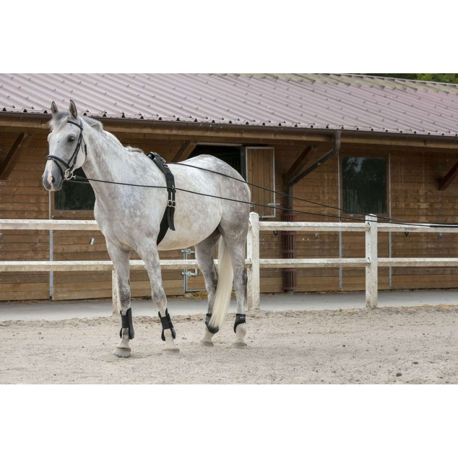 Riding World Teugels Leer/Touw Bruin