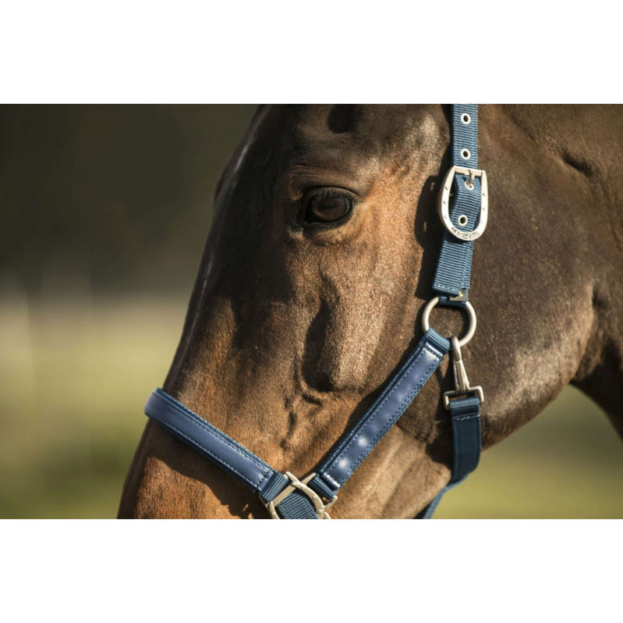 Lami-Cell Halster Attol Blue