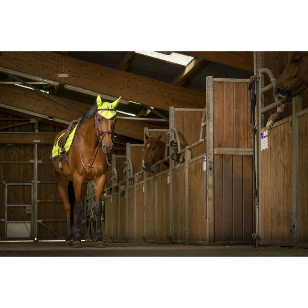 EQUITHÈME Oornetje High Visibility Fluor Geel