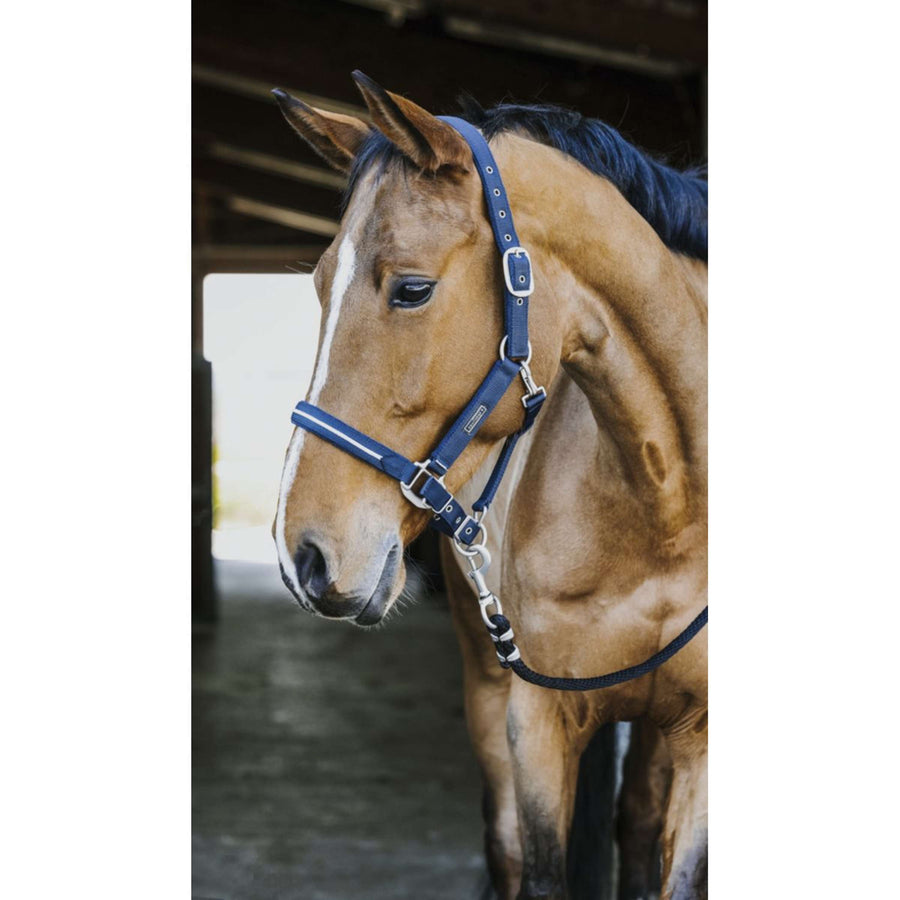 EQUITHÈME Halster French Touch Navy
