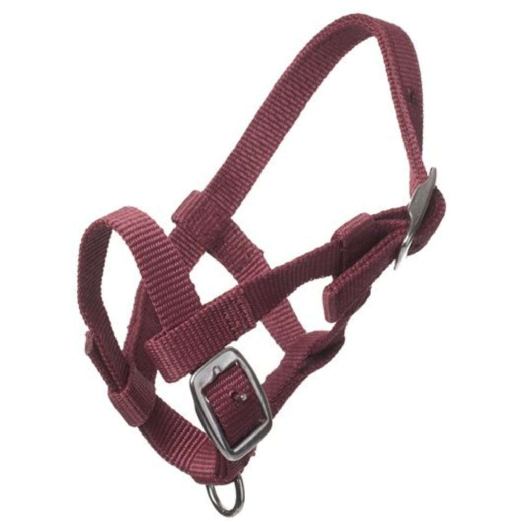 HB Halster Nylon Bordeaux