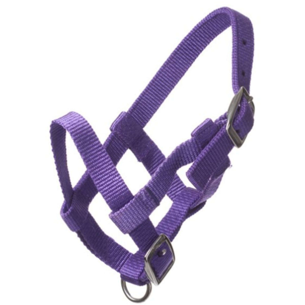 HB Halster Nylon Paars