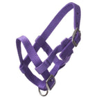 HB Halster Nylon Paars