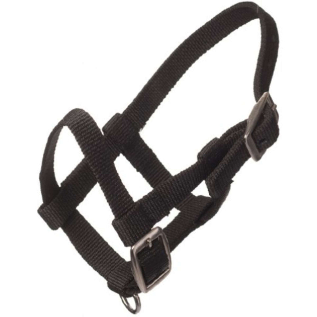 HB Halster Nylon Zwart