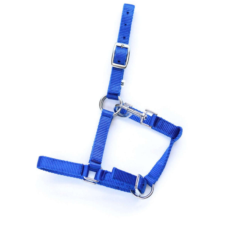 HB Veulenhalster Astrid Royal Blue