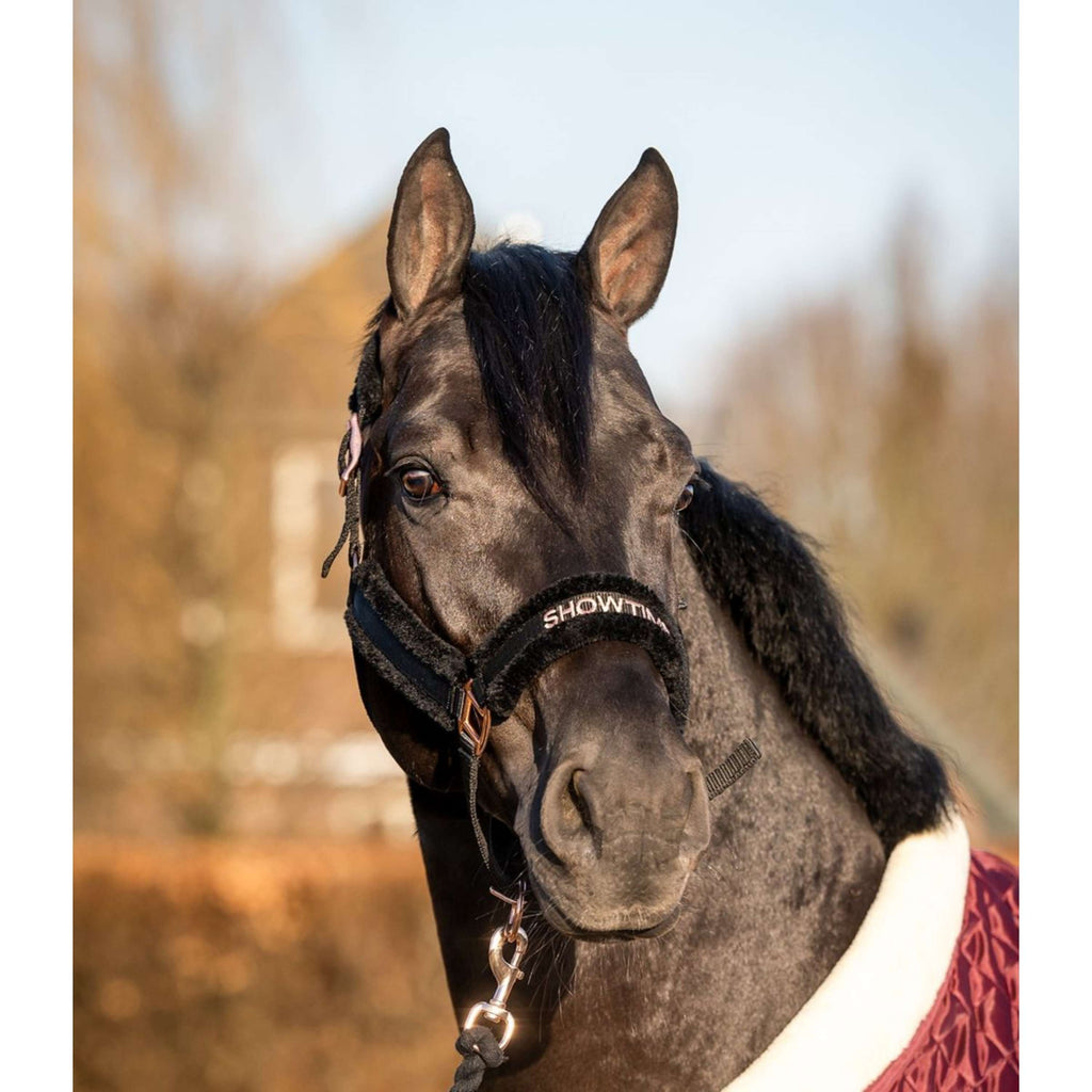 HB Halster Showtime Teddy Zwart/Roze