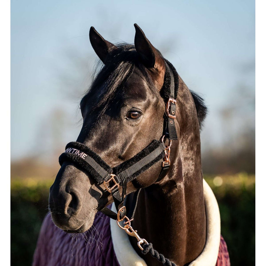 HB Halster Showtime Teddy Zwart/Roze