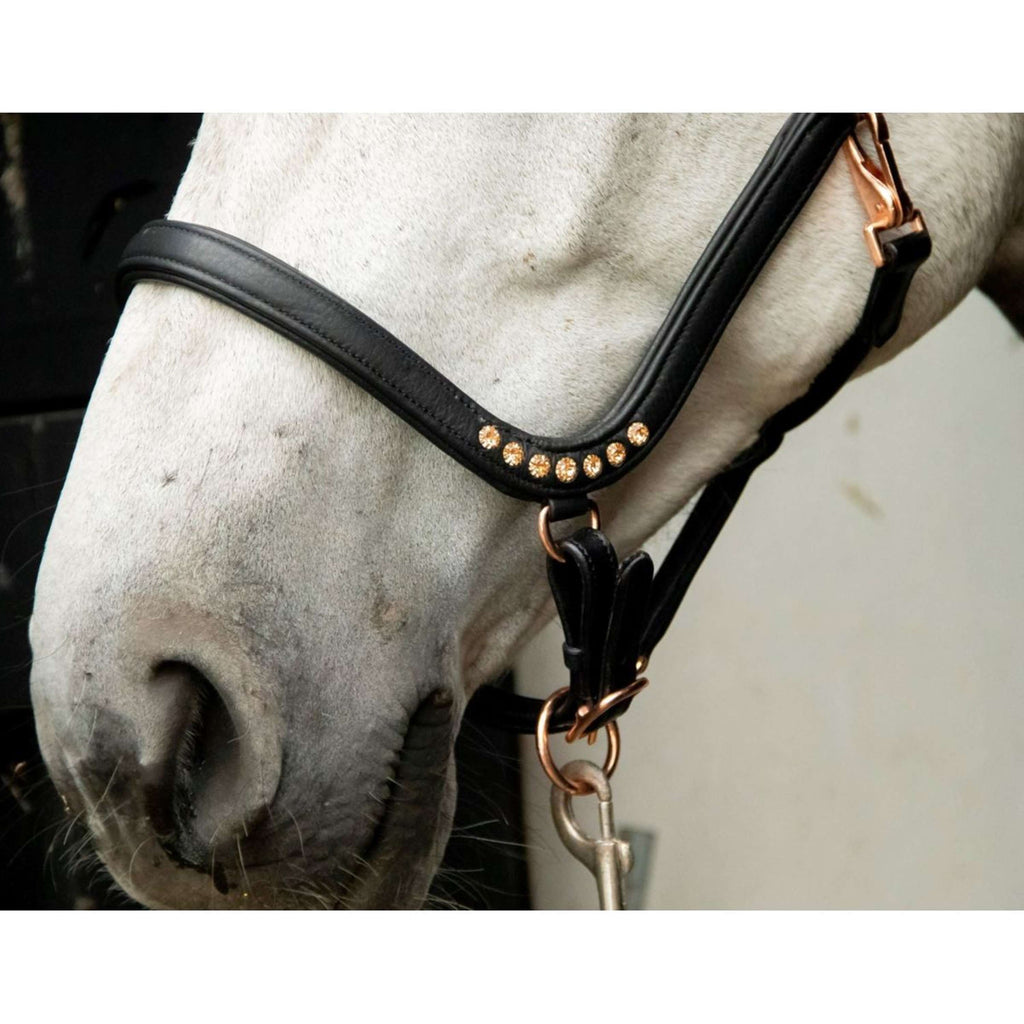 HB Showtime Halster Anatomic Zwart