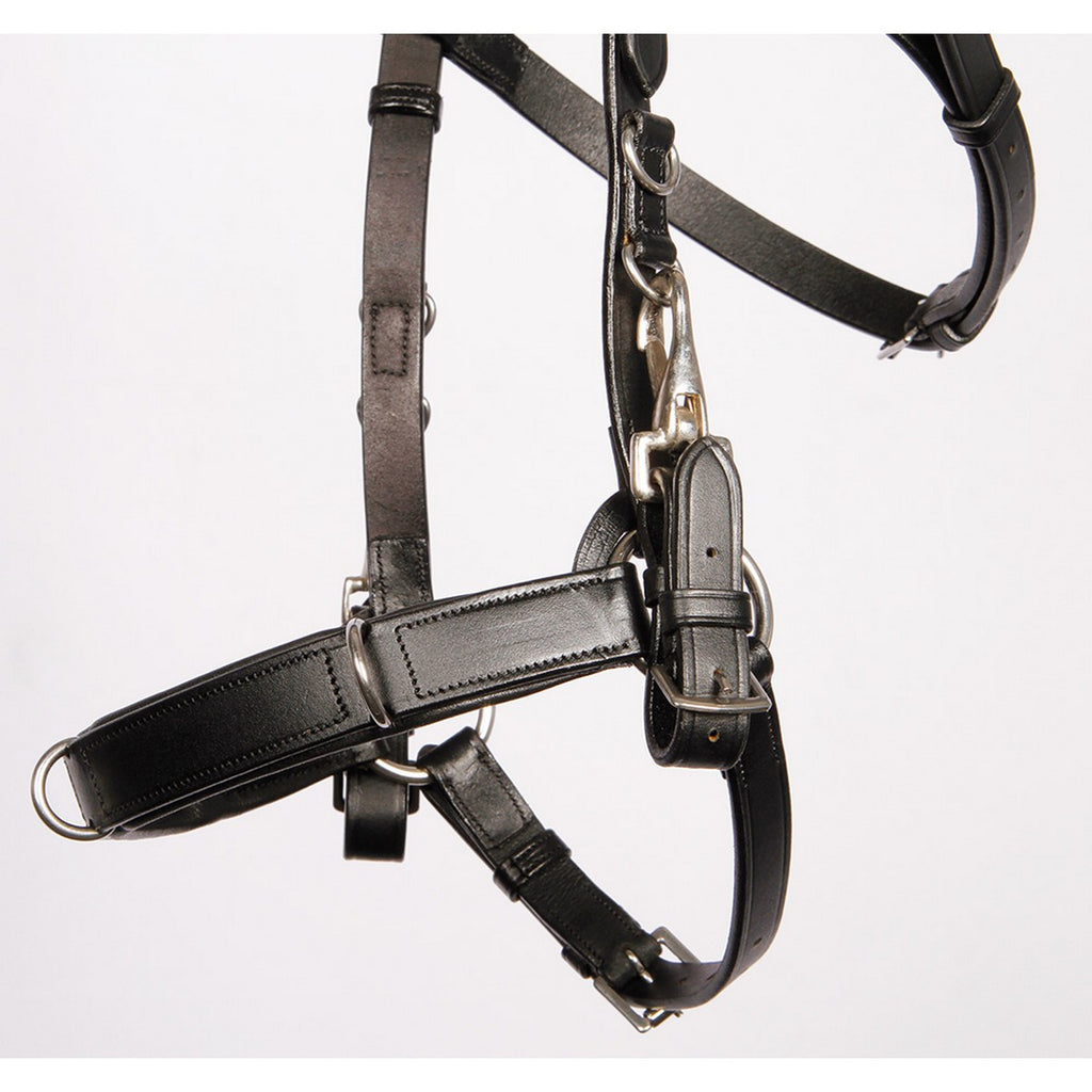 Harry's Horse Kaptoom hoofdstel Leder Zwart