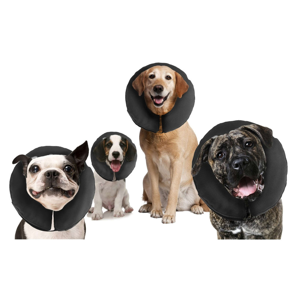 Zencollar The Original Procollar