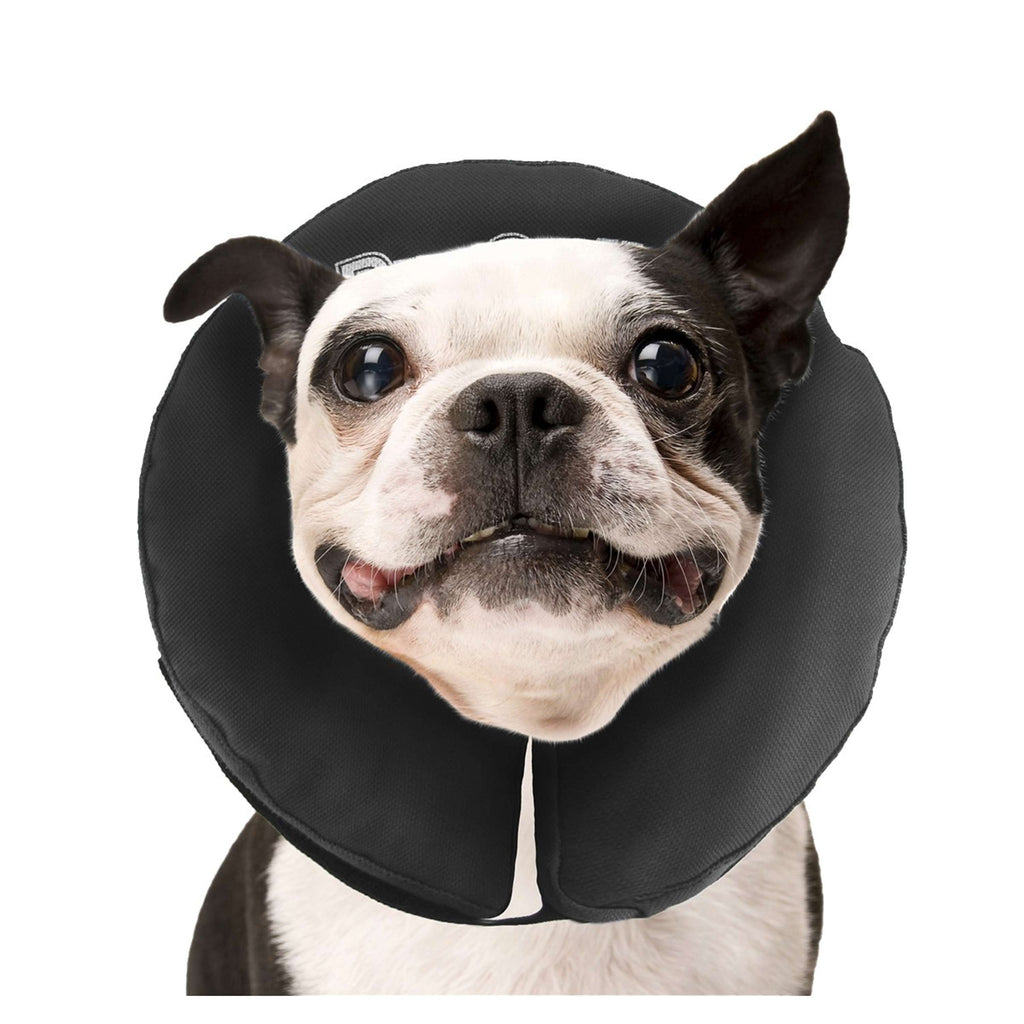 Zencollar The Original Procollar