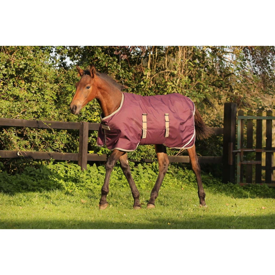 Amigo Veulendeken Ripstop 200g Fig/Navy/Tan