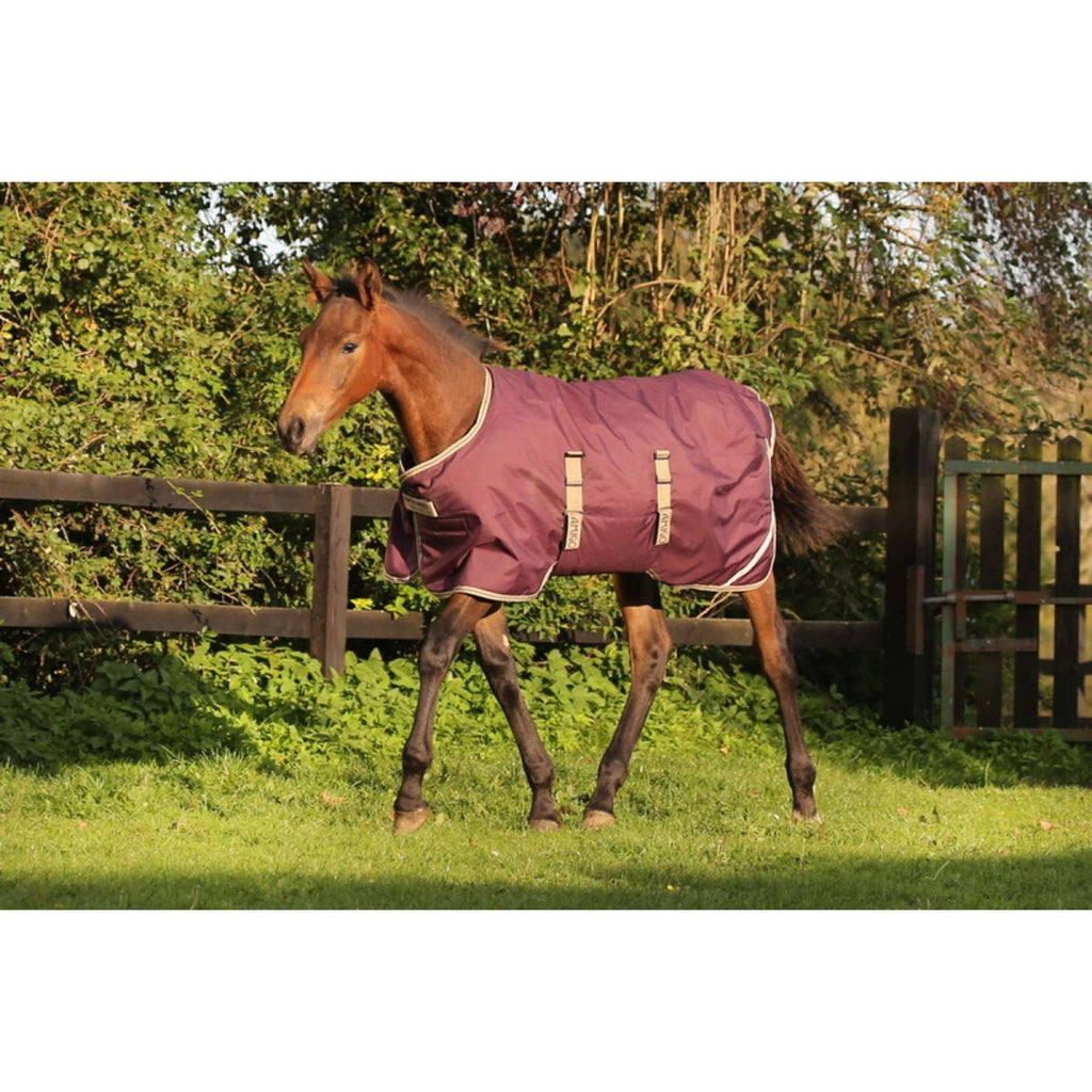 Amigo Veulendeken Ripstop 200g Fig/Navy/Tan