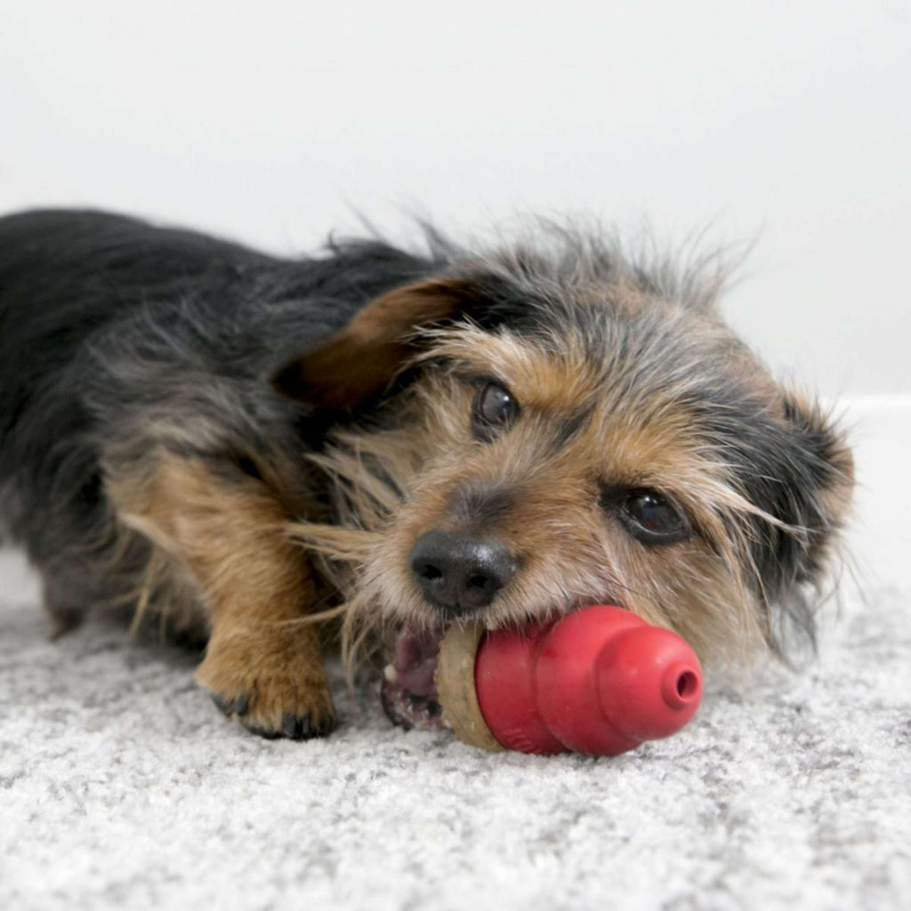 Kong Marathon Peanut Butter 2-pk