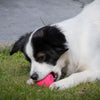 Dog Comets Bal Stardust Roze