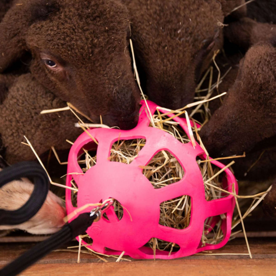 Excellent Hay Slowfeeder Fun and Flex Roze