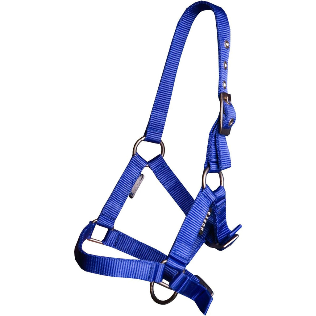 HORKA Halster Basic Veulen Kobalt
